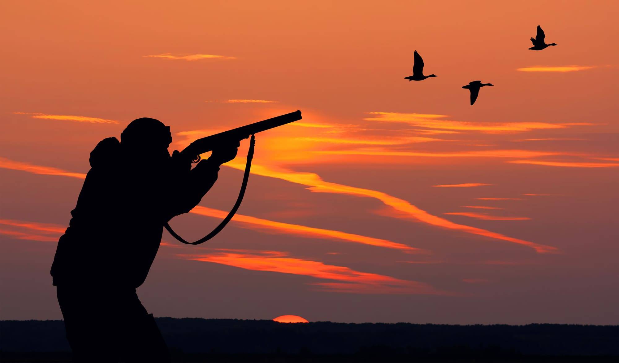 a person hunting a duck